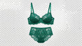 Silk Reverie Lace Balconette